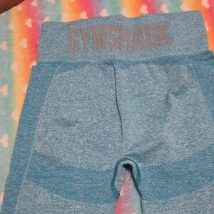 Gymshark  Teal Leggings